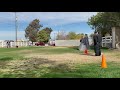 K9 Bodyslam!  Decoy is fine