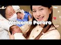 뽀로로 드디어 태어났어요 ❤ 세상에 온걸 환영해 미소야 Ssoyoung&#39;s Baby was born ! Welcome Pororo ✨