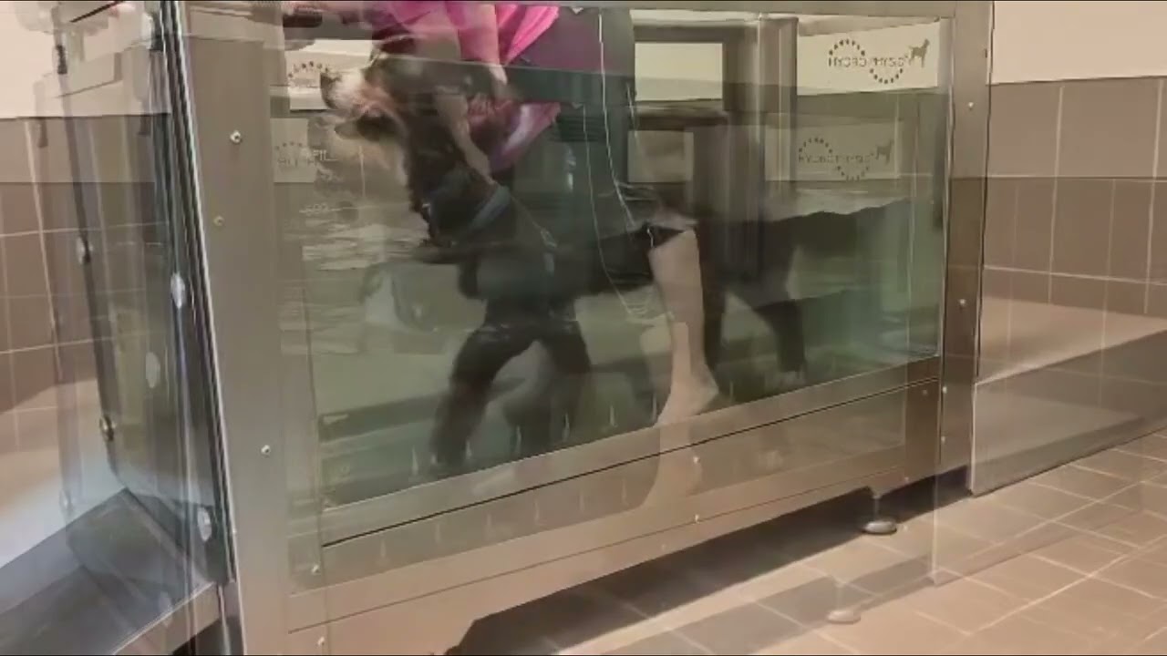 31eme SEANCE D'HYDROTHÉRAPIE IDOLE 30 mai 2024