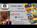 DOGO DE BURDEOS | SEMINARIO ONLINE | FEAT. JESUS SANCHEZ PARDO | #CHEVEREDOGS