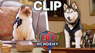 The Annual Student Exchange | Pup Academy Clip