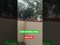 #tu itni door kyuu hi maa#subscribe#treading#viral shorts#funny#monkey dluffy#monkey fans#monkeys