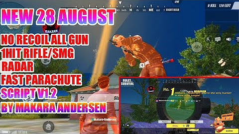 [NEW 28 AUG UPDATE] Assets Byass And Character & Script V1.2 | RECOIL ALL GUN & 1HIT RIFLE/SMG