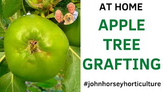 MASTERING APPLE TREE GRAFTING STEP-BY-STEP GUIDE WITH JOHN HORSEY