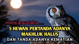 5 Hewan Pertanda Adanya Makhluk Halus Dan Tanda Adanya Kesialan Dan Kematian #shorts