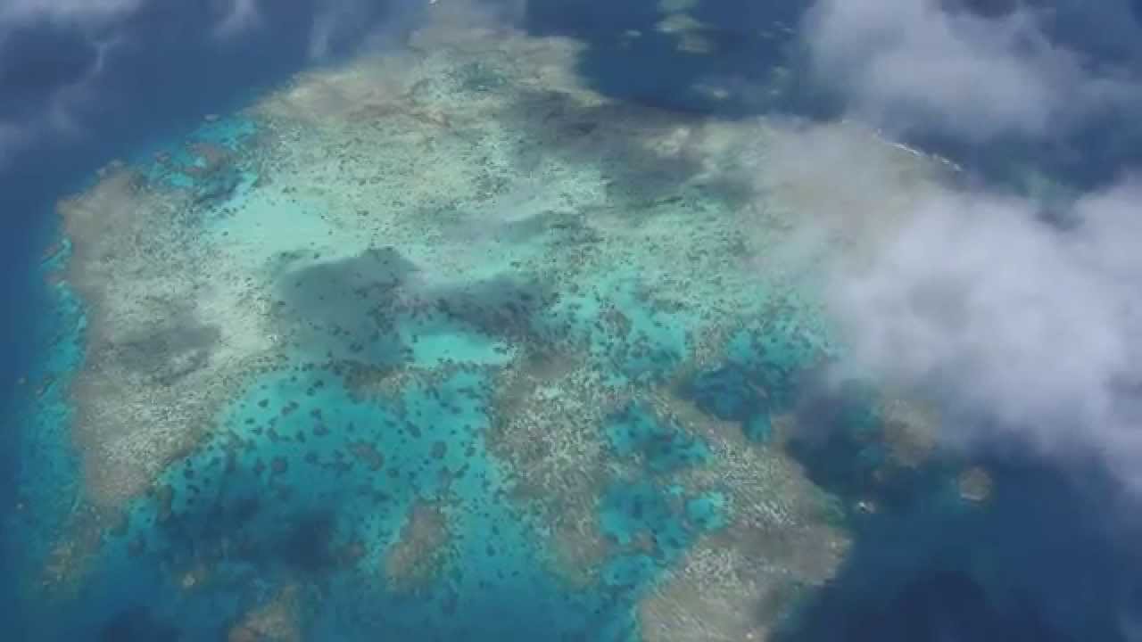 The Coral Sea Particularly Sensitive Sea Area