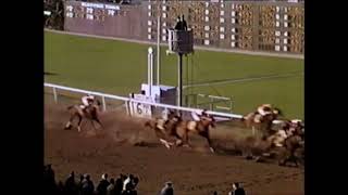 Seabiscuit Santa Anita Handicap 1940