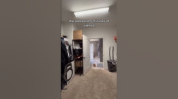 Playing Hide and Seek with my Cat p3 #shorts #cats