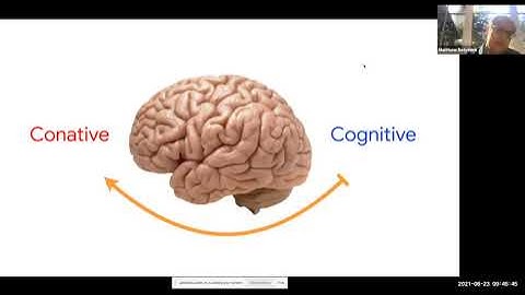 Matt Botvinick-Deep reinforcement learning and its neuroscientific implications