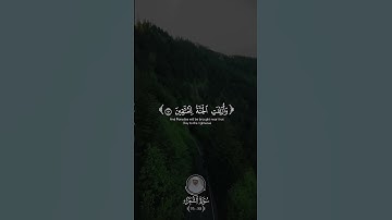 سورة الشعراء {88-95} القارئ ياسر الدوسري #راحة_نفسية #قرآن #ياسر_الدوسري