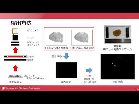 電気電子工学 ｜ 近赤外光を用いた食品内部の異物検出（光エレクトロニクス研究室）