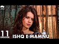 Ishq e Mamnu - Episode 11 | Beren Saat, Hazal Kaya, Kıvanç | Turkish Drama | Urdu Dubbing | RB1Y