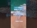 Natural Sonic「ハワイ気分な初夏のウクレレ」— ストレスをほどく、穏やかなリラックス音楽 —