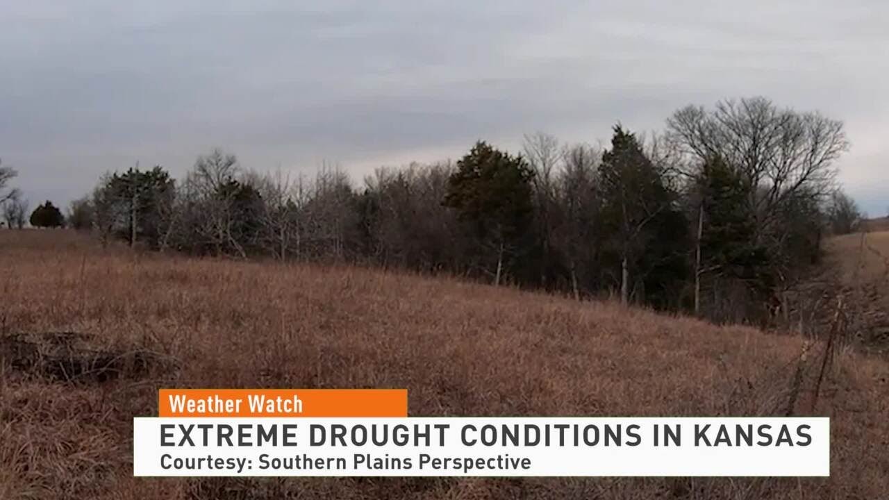 Pasture Condition Extreme Drought Conditions in Kansas YouTube