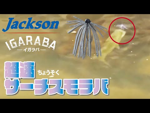 【バス釣り】イガラバPV　ジャクソン2019新商品