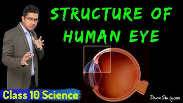 Human Eye : Structure of Human Eye : CBSE Class 10 Science - Free Education