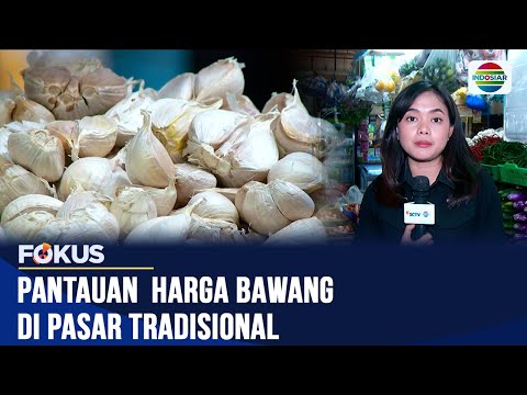 Harga Bawang Bombay Per Kg