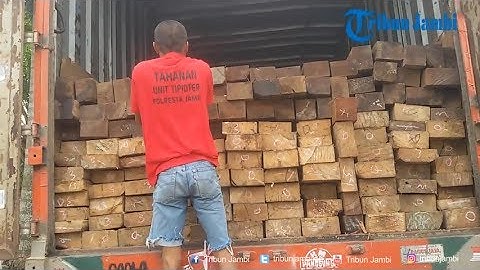 Polresta Jambi Amankan Kayu Rimba Sebanyak 20 Kubik