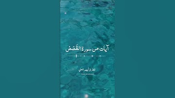 آيات من سورة القصص ❤️‍🩹 - أيهم العلي  #قرآن #اكسبلور #تلاوة_عذبه #تلاوة_مؤثرة