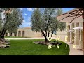 Opus One Winery • Brix Dining / One day in Napa 🍷