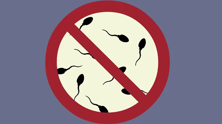 A New Approach to Male Contraception: Dr. Goddard-Borger's DPY19L2 Project