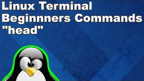 Linux Terminal for Beginners Commands 10: Output Header