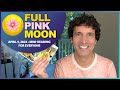 Full Pink Moon Mini-Read - April 5, 2023 - Everyone is Welcome