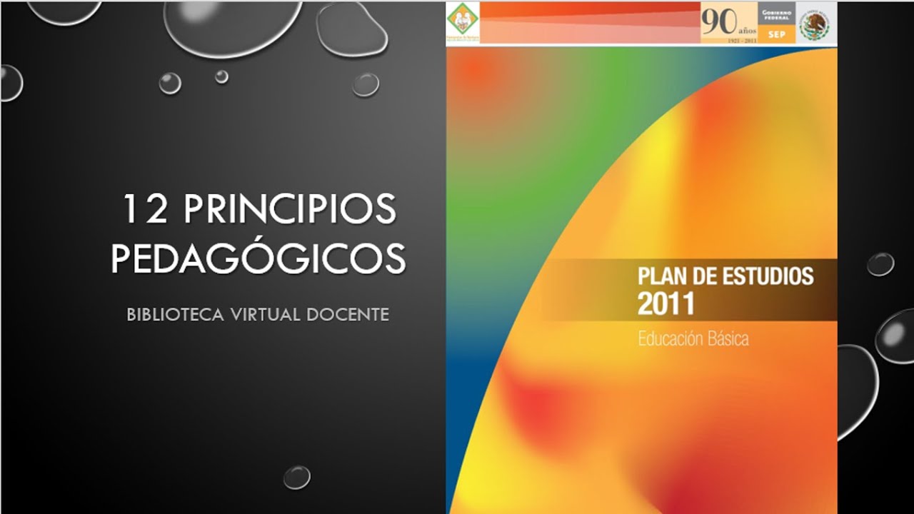 Biblioteca Virtual Docente: 12 principios pedagógicos PLAN DE ESTUDIOS 2011