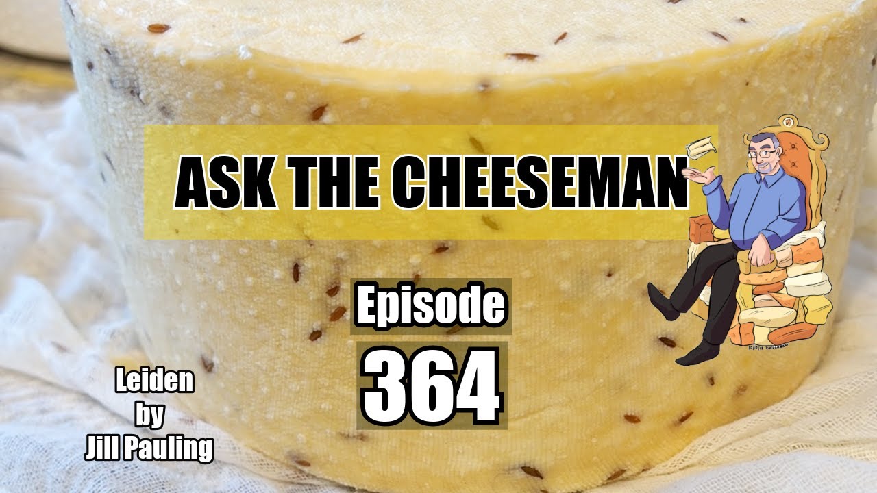 🔴 Ask the Cheeseman #364