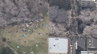 首都圏、花見でにぎわい　緊急事態解除後初の週末