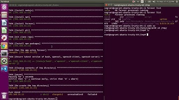 Ansible Playbook Demo