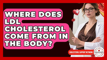 Where Does LDL Cholesterol Come From in the Body? - Cholesterol Support Network