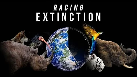 image for The History of Earth's Major Extinction Events