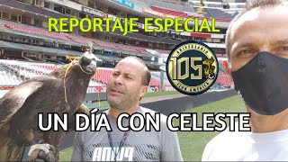 Reportaje del Águila Celeste en Estadio Azteca  #clubamérica  #estadioazteca  #vamosamérica