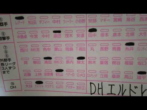 マイナビオールスターゲーム2017俺のファン投票結果！？