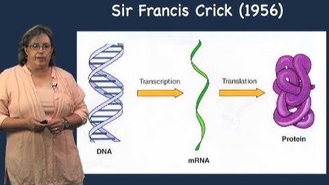 Splicing Overview - Melissa Moore (U Mass/HHMI)