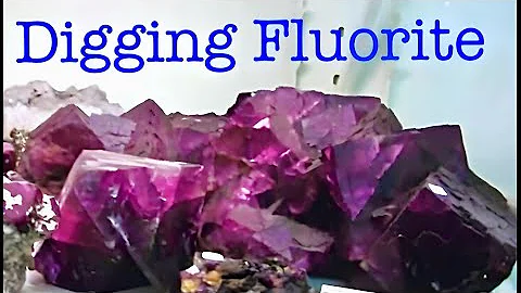 The Crystal Collector digs Fluorite Crystals in Ke...
