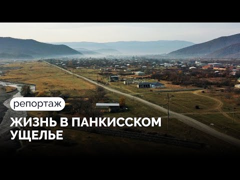 Между Грузией и Чечней. Чем сейчас живет Панкисское ущелье? / Репортаж «Новой газеты Европа»