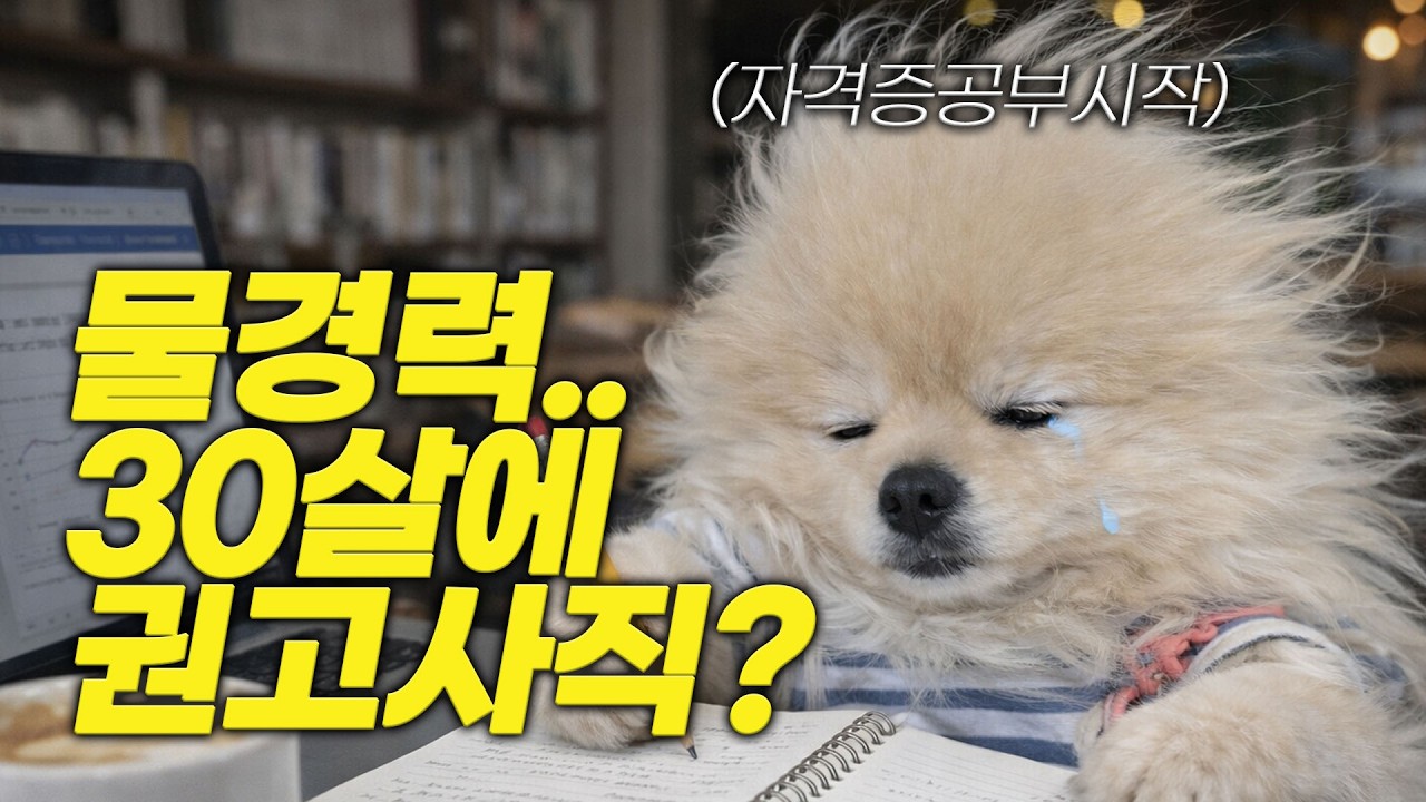 물경력가진 서른살 3년 다닌 회사 경영악화로 권고사직 당할것 같은 후기