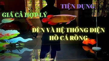 Nuôi cá rồng: Đèn và hệ thống điện hồ cá rồng l Mai Thế Nam