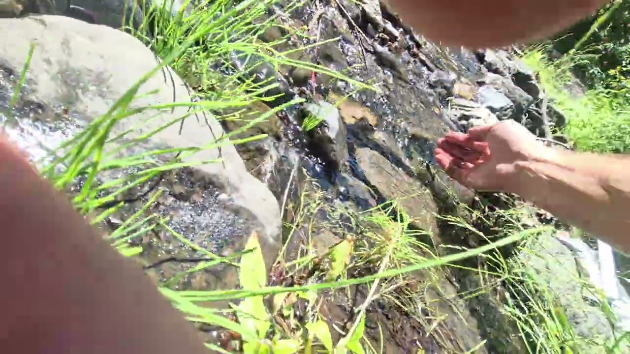 Snack time by a creek in BC