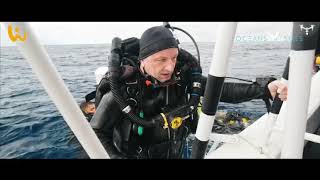 WiroDive Cocos Island 2019 | Video Trip Report