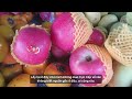 Trái cây Trung Quốc tràn ngập chợ Việt