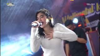 PANTUN JANDA - ELSA FRANSISKA || DK MUSIK SO SO HO HA || COUNSTITY AUDIO || live KEDUNGSARI 2023