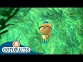 Octonauts - Underwater Jungle | Full Episodes | Cartoons for Kids