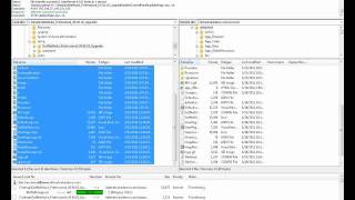Upgrading a DotNetNuke site via FTP Net Worth