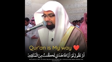 تلاوة خاشعة للقرآن الكريم بصوت خير قاري الشيخ ناصر القطامي تبكي
