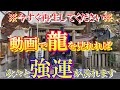 【小網神社】※この動画との出会は運命！再生し龍を見れれば超絶強運厄除 東京パワースポット！昇り龍 降り龍  東京銭洗弁天  東京初詣 金運 スピリチュアルスポット オンライン参拝 リモート参拝＃２３