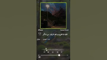 القارئ هلويست نصر الدين ♥️🎧 #اكتب_شي_تؤجر_عليه #ستوريات_دينية
