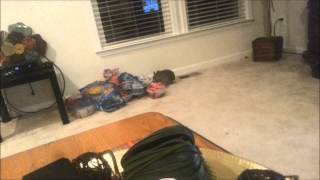 Super Epic Rabbit Binky - Episode 2!